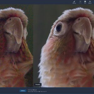 Noise Reduction